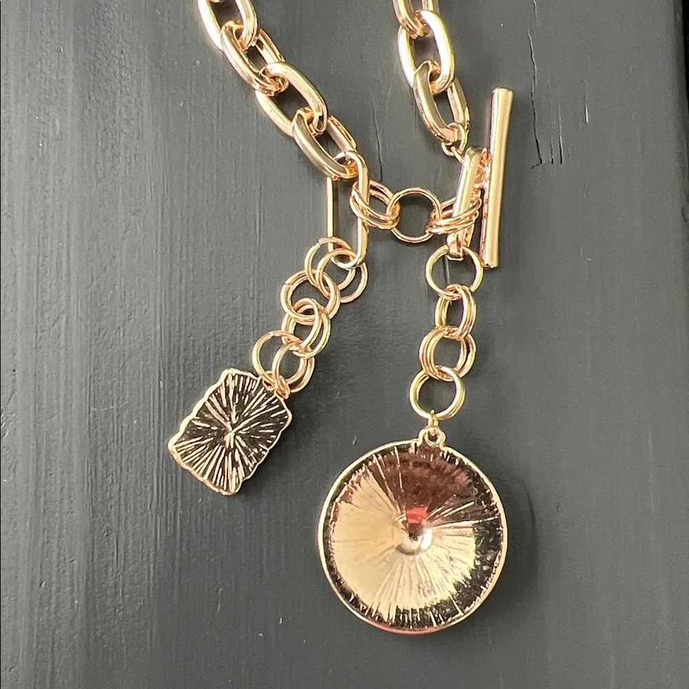 NWT Vici Lasso Love Charm Lariat Necklace - Picture 5 of 9